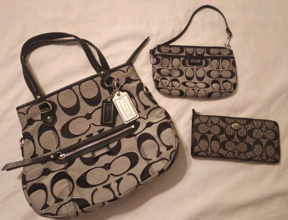 Coach F23940 Daisy Outline Signature Metallic Mia 3 Pc Bag Wallet Wristlet Y2K